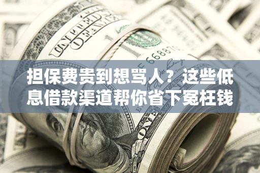 济南担保费贵到想骂人？这些低息借款渠道帮你省下冤枉钱