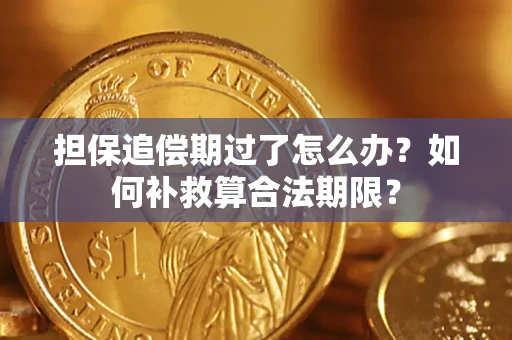 济南担保追偿期过了怎么办？如何补救算合法期限？